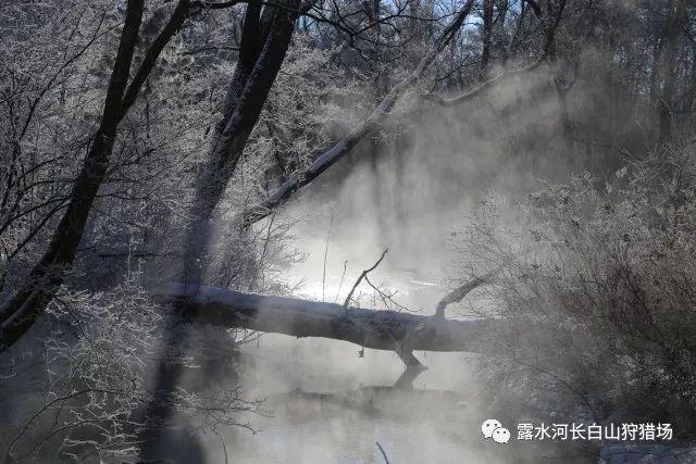 坑爹密室逃脱