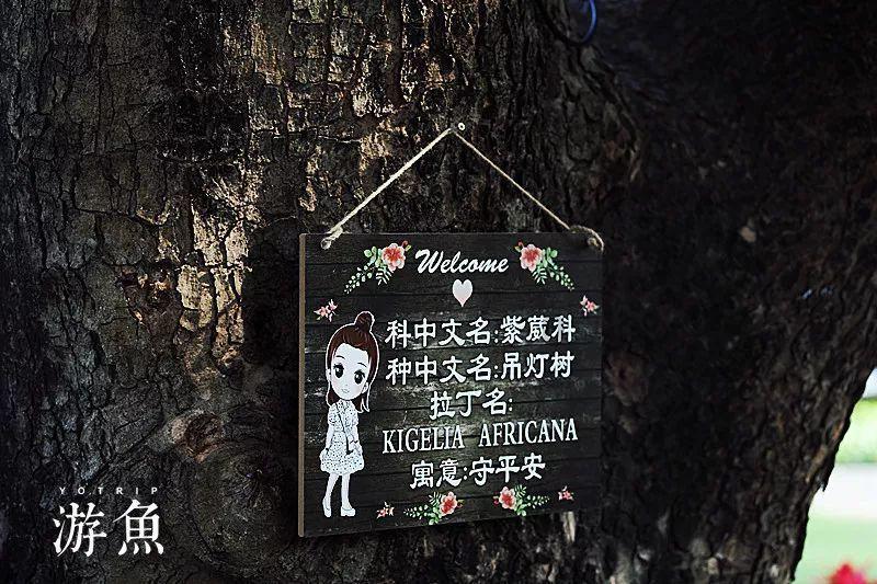 花店物语全部npc剧情解锁游戏画面