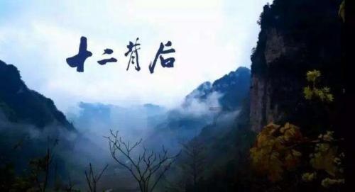 动物帮帮忙保卫家园