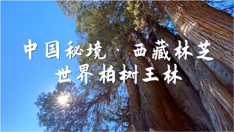 逃离遗弃的建筑4