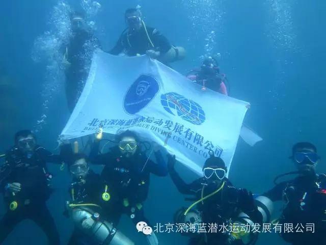 大山羔羊逃生