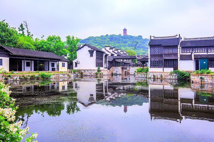 探索高钾冲施肥发财树能用吗有毒吗? | 知识星球平台