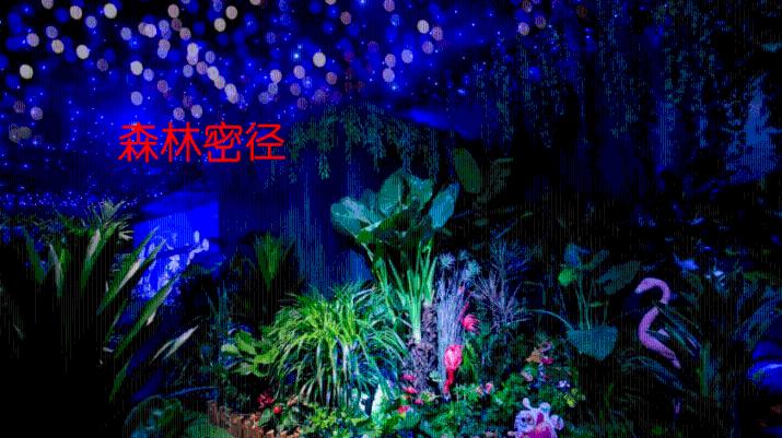 森迪公主夏日度假